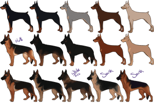 German Shepherd Dobermann German Pinscher Puppy Miniature - German Shepherd And German Pinscher, HD Png Download PNG image with transparent background