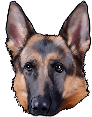 German Shepherd Vicious Dog, HD Png Download PNG image with transparent background
