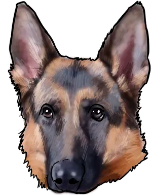 German Shepherd Portrait Illustration PNG Image