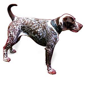 German Shorthaired Pointer C PNG Image