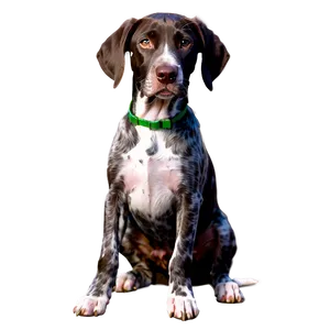 German Shorthaired Pointer Puppy Png Hkm63 PNG Image