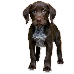 German Shorthaired Pointer Puppy Png Iwp7 PNG Image