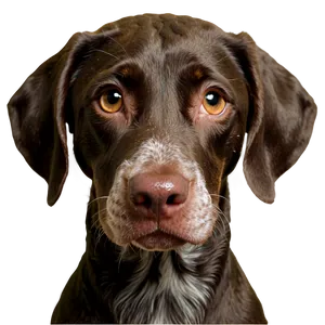 German Shorthaired Pointer Puppy Png Vmw52 PNG Image