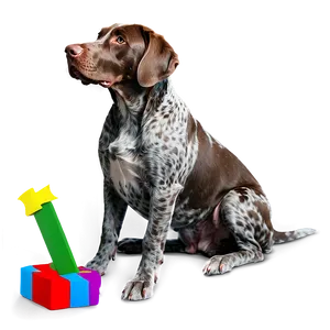 German Shorthaired Pointer Sitting Png Tlh97 PNG Image