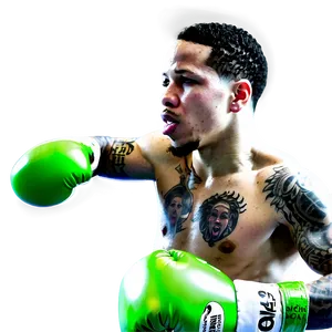 Gervonta Davis Action Shot Png 06202024 PNG Image