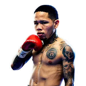 Gervonta Davis Powerful Jab Png 31 PNG Image