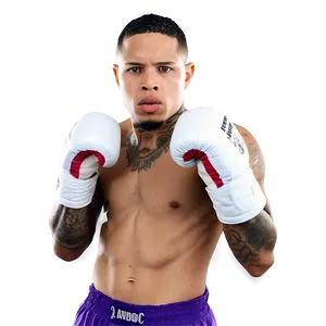 Gervonta Davis Powerful Jab Png 34 PNG Image