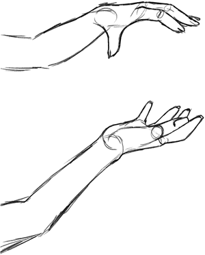 Sketch, HD Png Download PNG image with transparent background