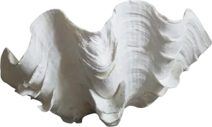 Giant Clam Shell Isolated PNG Image