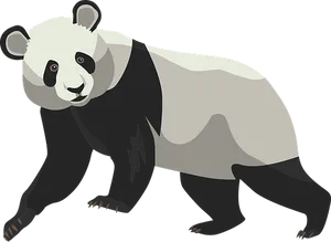 Giant Panda Illustration PNG Image