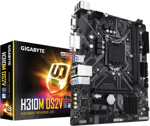 Gigabyte H310 M D S2 V Motherboard Packagingand Board PNG Image