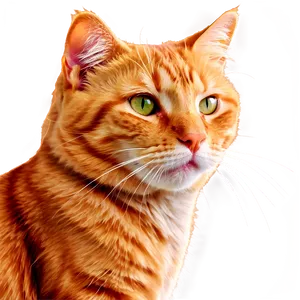 Ginger Cat Clipart Png Crv38 PNG Image