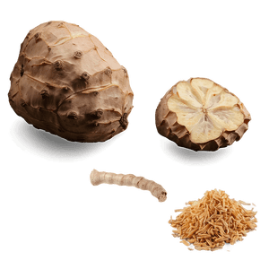 Ginger Chai Zest PNG 48 PNG with transparent background