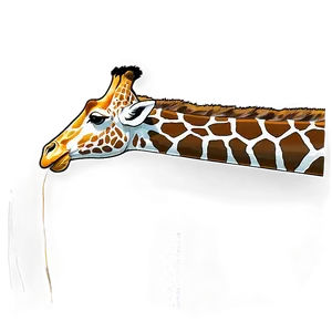 Giraffe Safari Park Png 74 PNG Image