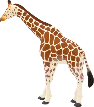 Giraffe Standing Profile PNG Image