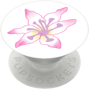 Gladiolus Flower, Popsockets - Lily, HD Png Download PNG with transparent background