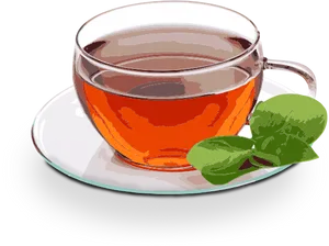 Glass Cupof Teawith Mint Leaves PNG Image