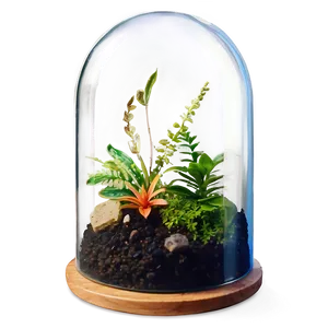 Glass Dome Terrarium Png 06282024 PNG Image