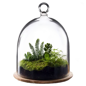 Glass Dome Terrarium Png 84 PNG Image