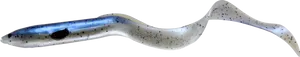 Glass Eel Transparent Background PNG Image