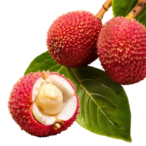 Glistening Fresh Lychee Png 36 PNG Image