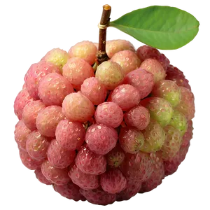 Glistening Fresh Lychee Png Fvo PNG Image