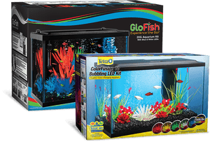 Aquarium, HD Png Download PNG image with transparent background