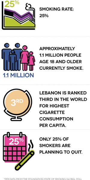 Approximately - Number Of Smokers In Lebanon 2018, HD Png Download PNG