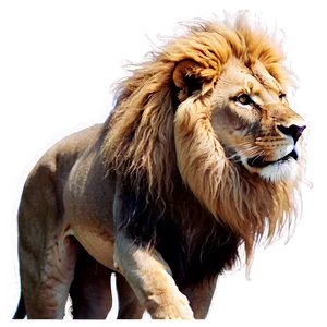 Glorious Lion Of Judah Image Png 06262024 PNG Image