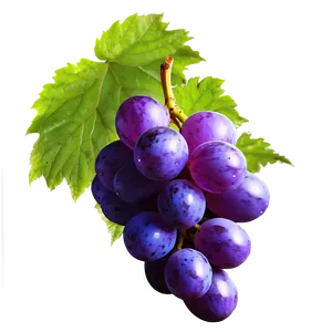 Glossy Grape Image Png 90 PNG Image