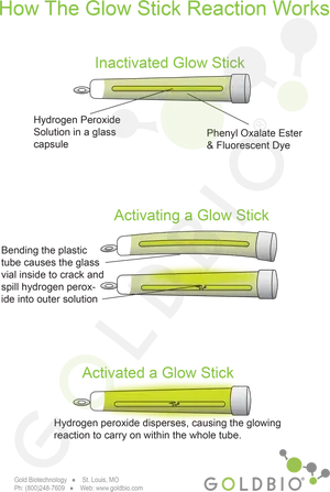 Glow Stick Reaction Explanation PNG Image