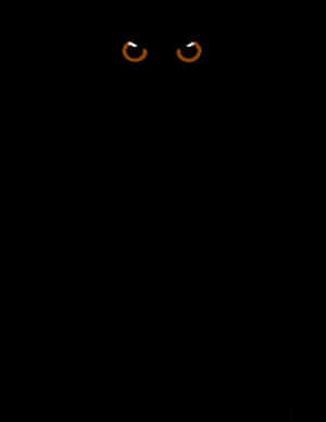 Glowing Eyesin Darkness PNG image with transparent background