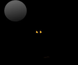Glowing Eyesin Darkness PNG image with transparent background