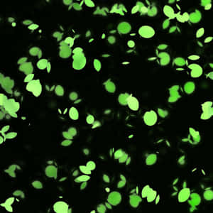 Glowing Green Leaves Pattern PNG image with transparent background