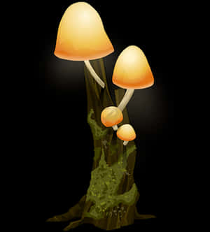 Glowing Mushroomson Tree Trunk PNG image with transparent background