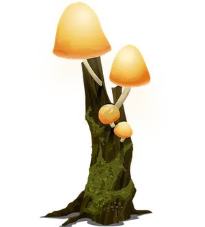 Glowing Mushroomson Tree Trunk PNG Image