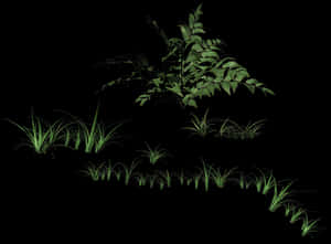 Glowing Plants Night Scene PNG with transparent background