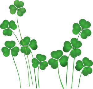 Glowing Shamrocks Black Background PNG Image