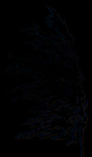 Glowing Tree Outline Night PNG with transparent background