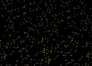 Gold Confetti Png - Gold Transparent Confetti Png, Png Download PNG