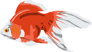 Gold Fish Vector Png, Transparent Png PNG image with transparent background
