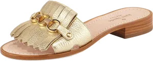 Gold Fringe Sandal Side View PNG Image