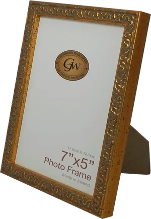 Gold Ornate Photo Frame PNG Image