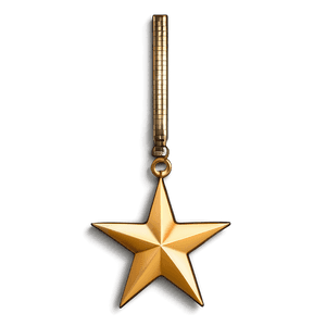 Gold Star Icon PNG 36 PNG