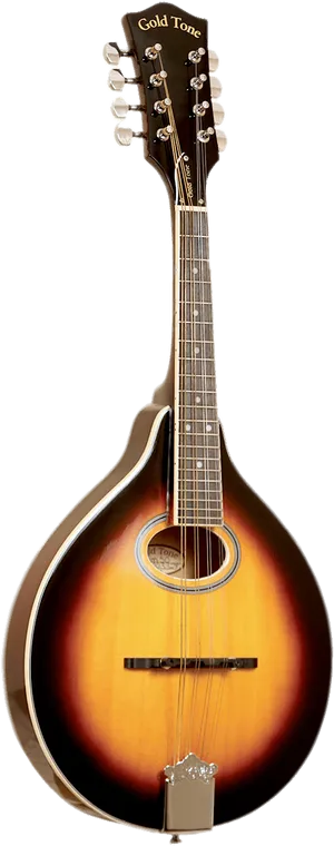 Gold Tone Mandolin Sunburst Finish PNG Image