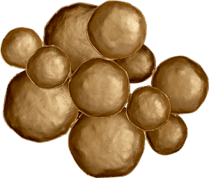 Circle, HD Png Download PNG with transparent background