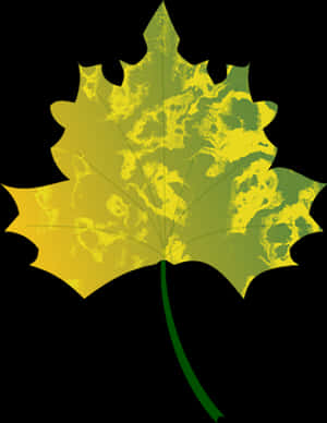 Golden Autumn Maple Leaf PNG image with transparent background