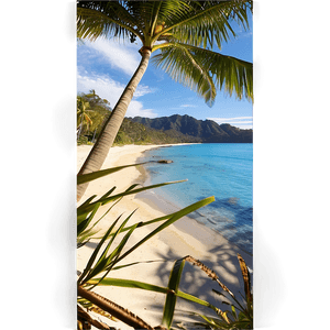 Golden Bay Beaches PNG icy PNG