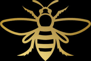 Bee Clip Art Gold, HD Png Download PNG image with transparent background