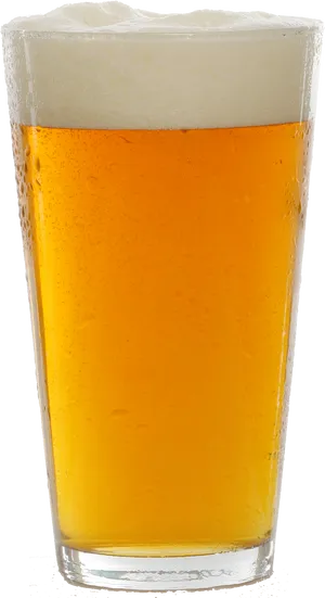 Golden Beer Glass Foamy Head PNG Image